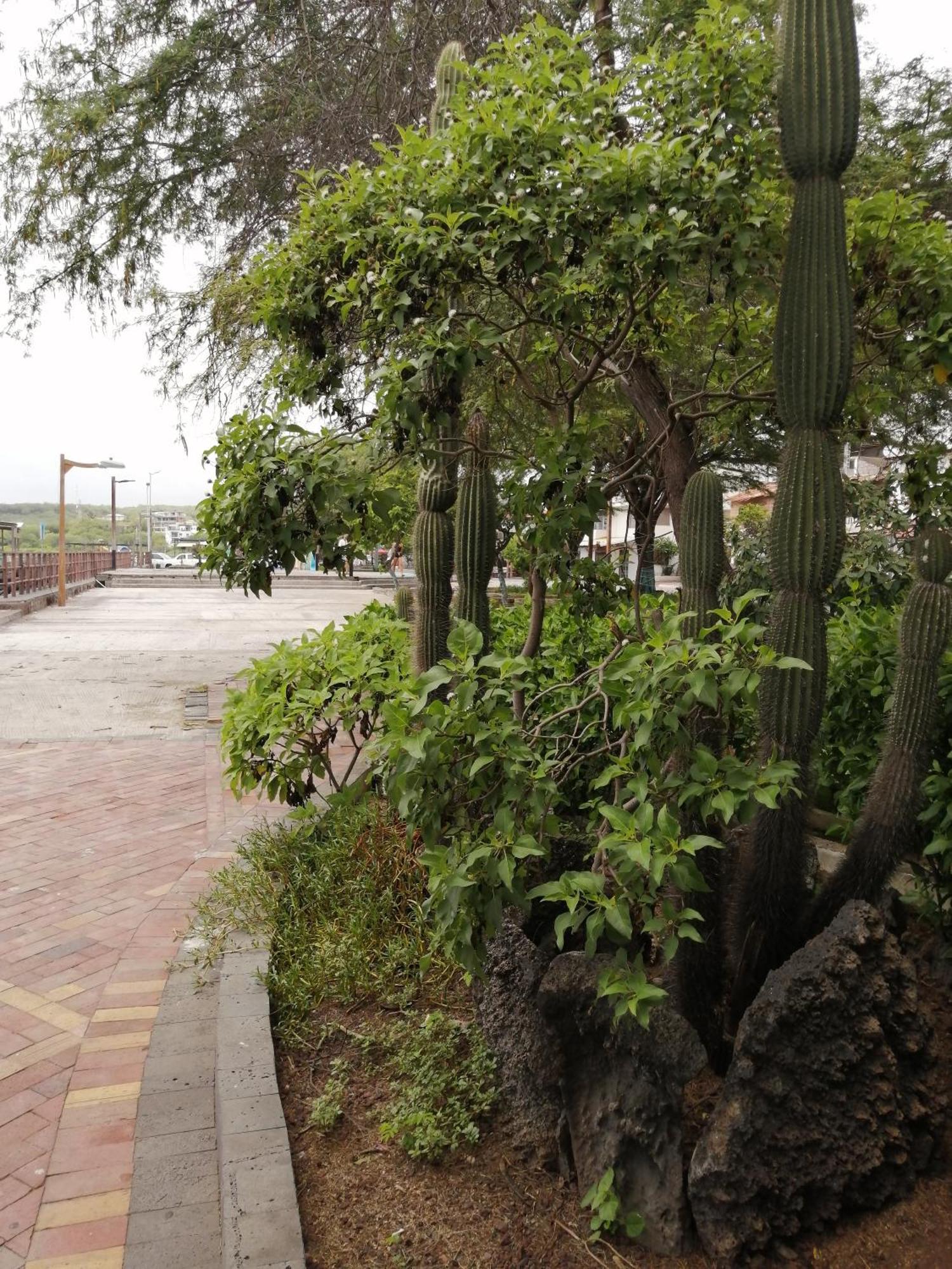 Hostal La Casa De Luis 巴克里索莫雷诺港 外观 照片